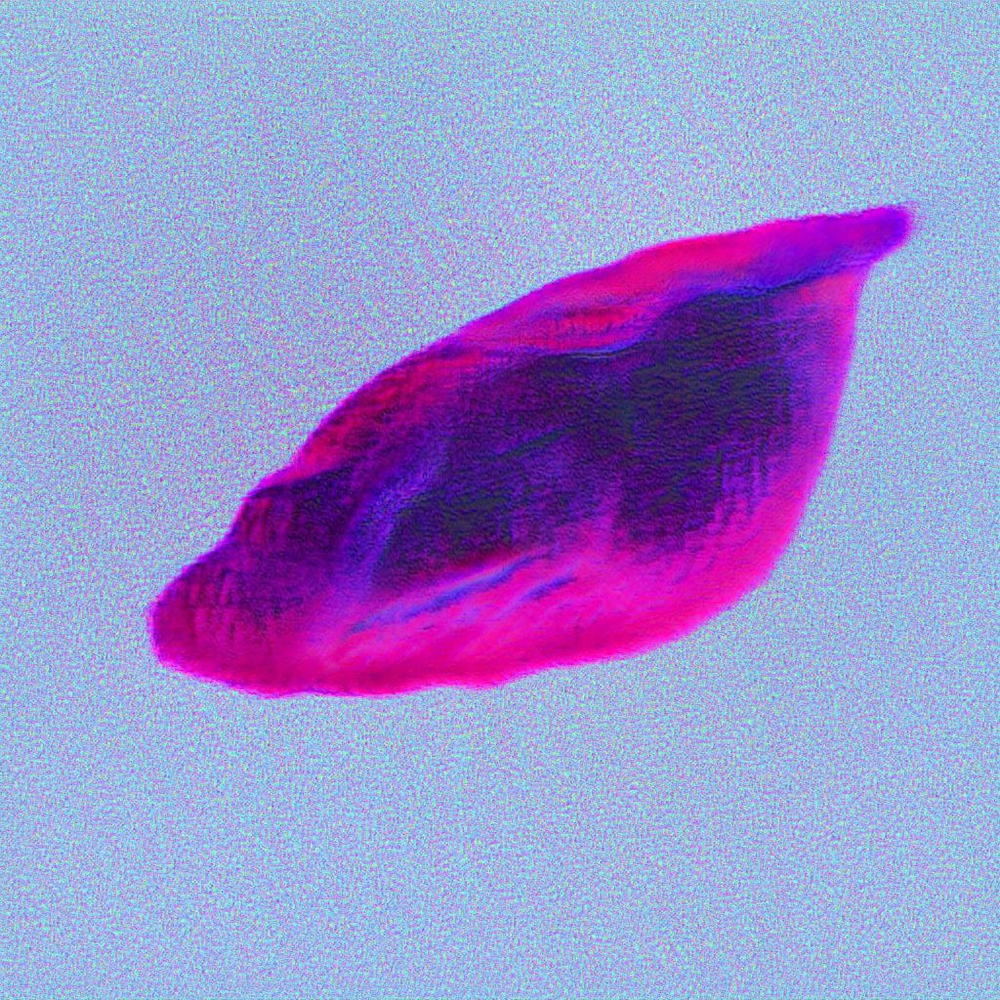 Sanlight Research: KI generierte Bildwelt © Zeughaus Design