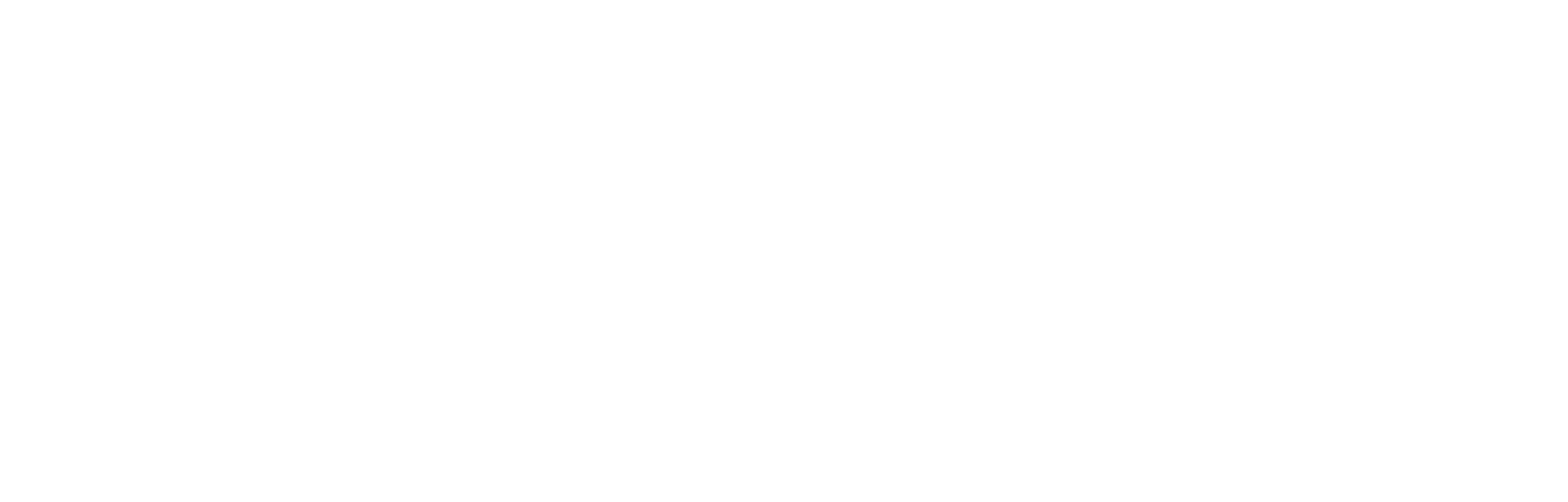 demo © demo
