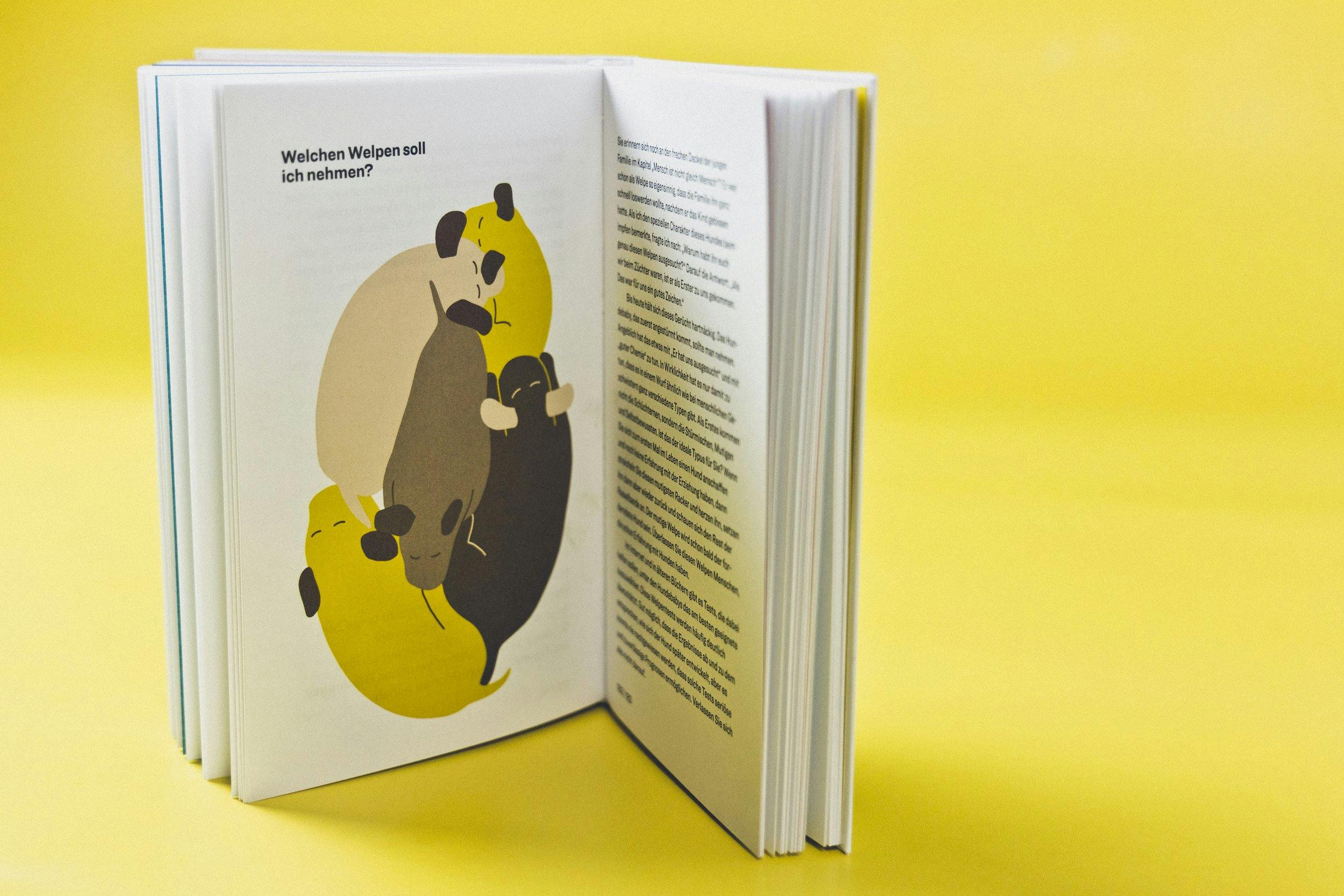 How to Hund - Tanja Warter - Zeughaus Design © Patricia Keckeis
