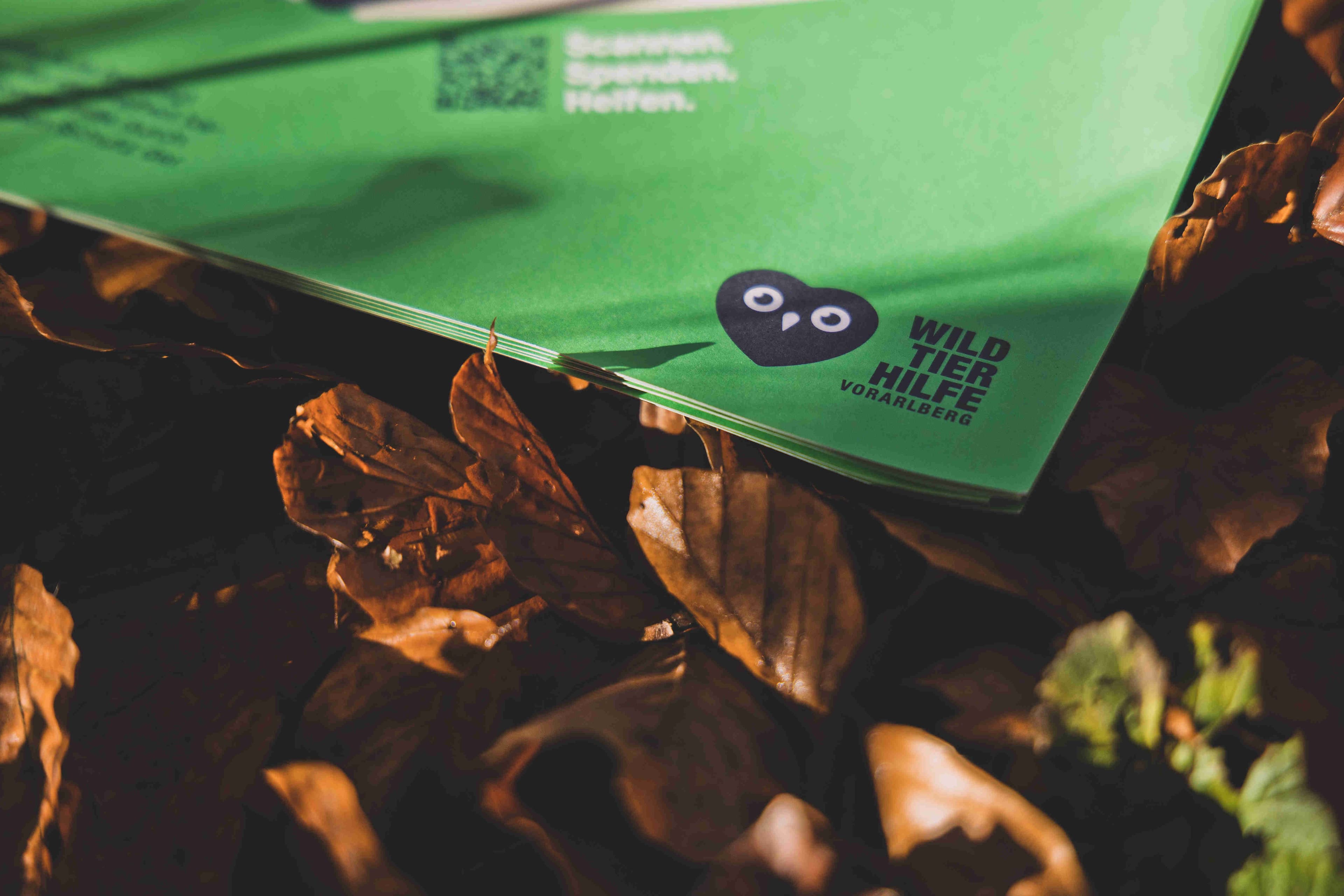 Wildtierhilfe, Zeughaus Design