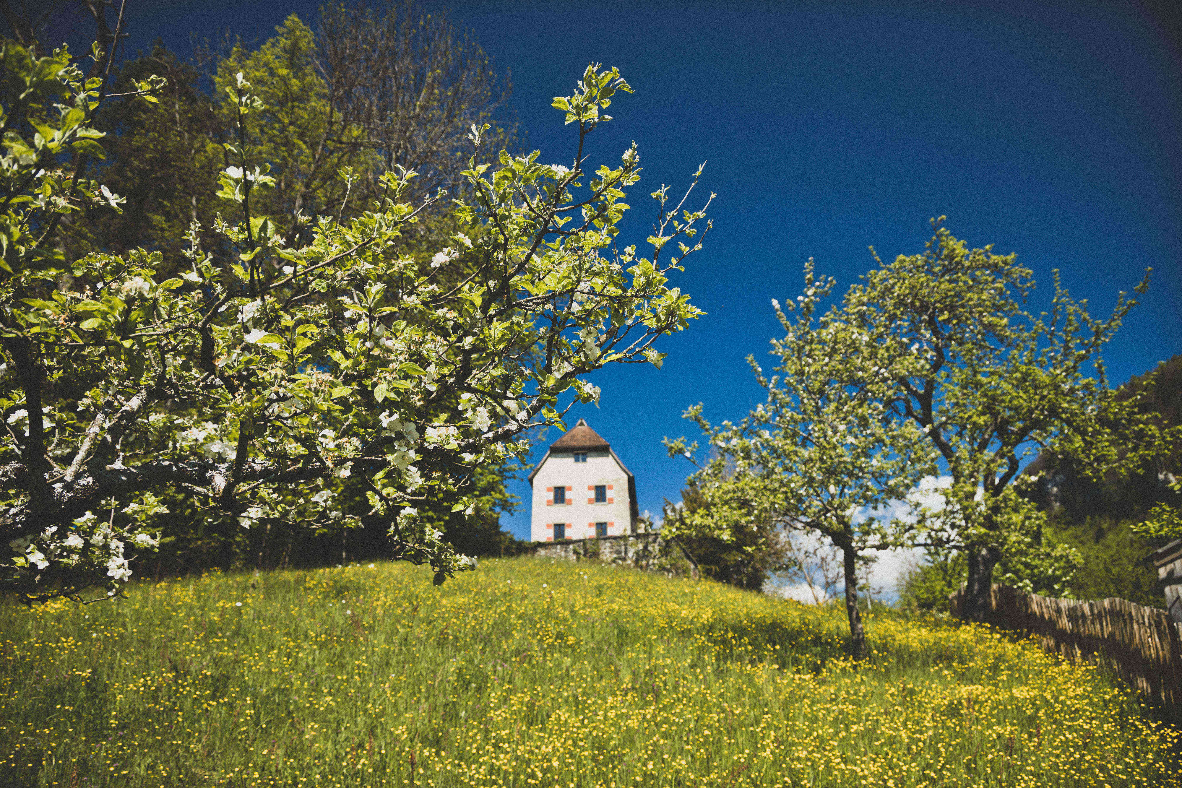 Lust auf Schloss