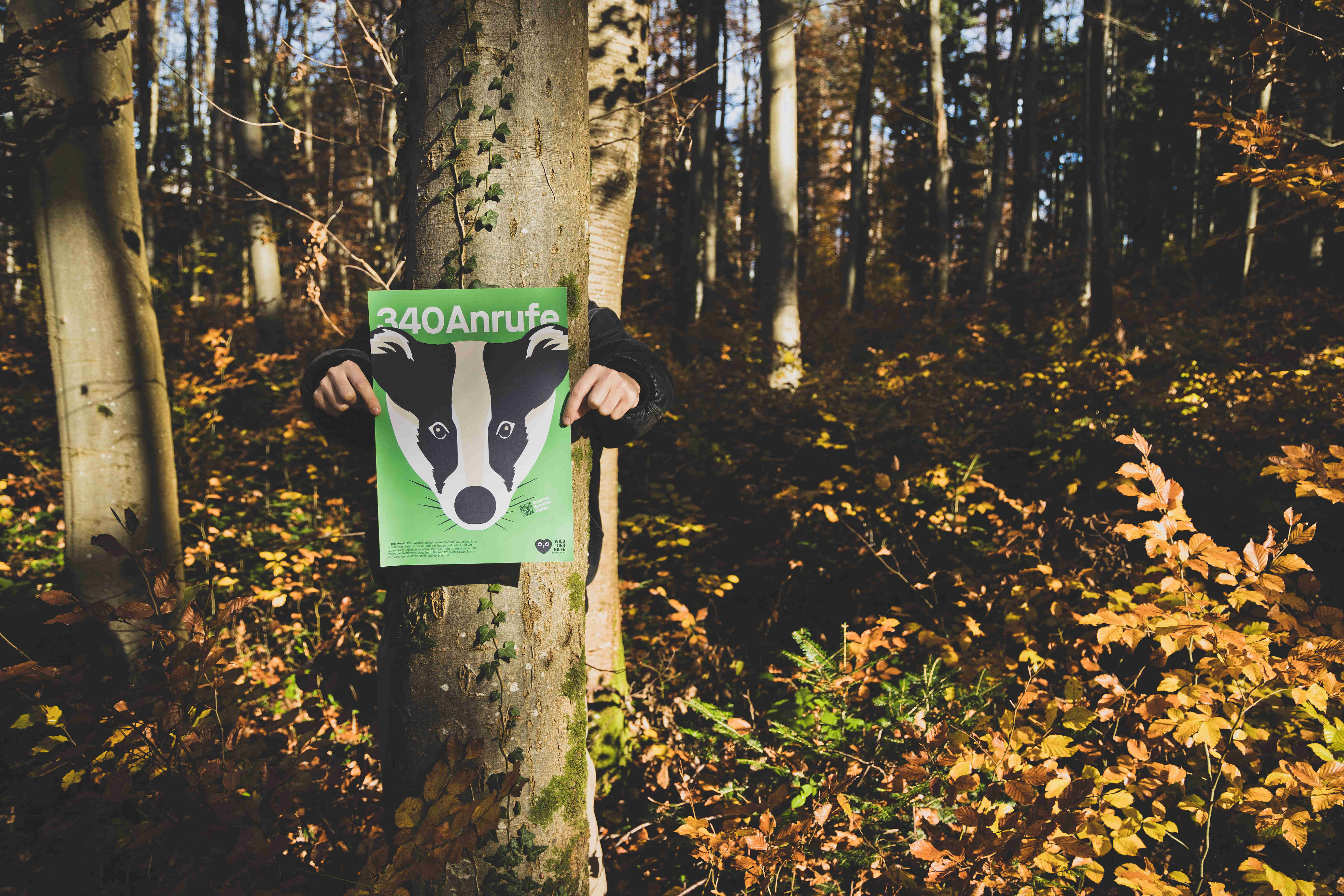 Wildtierhilfe, Zeughaus Design