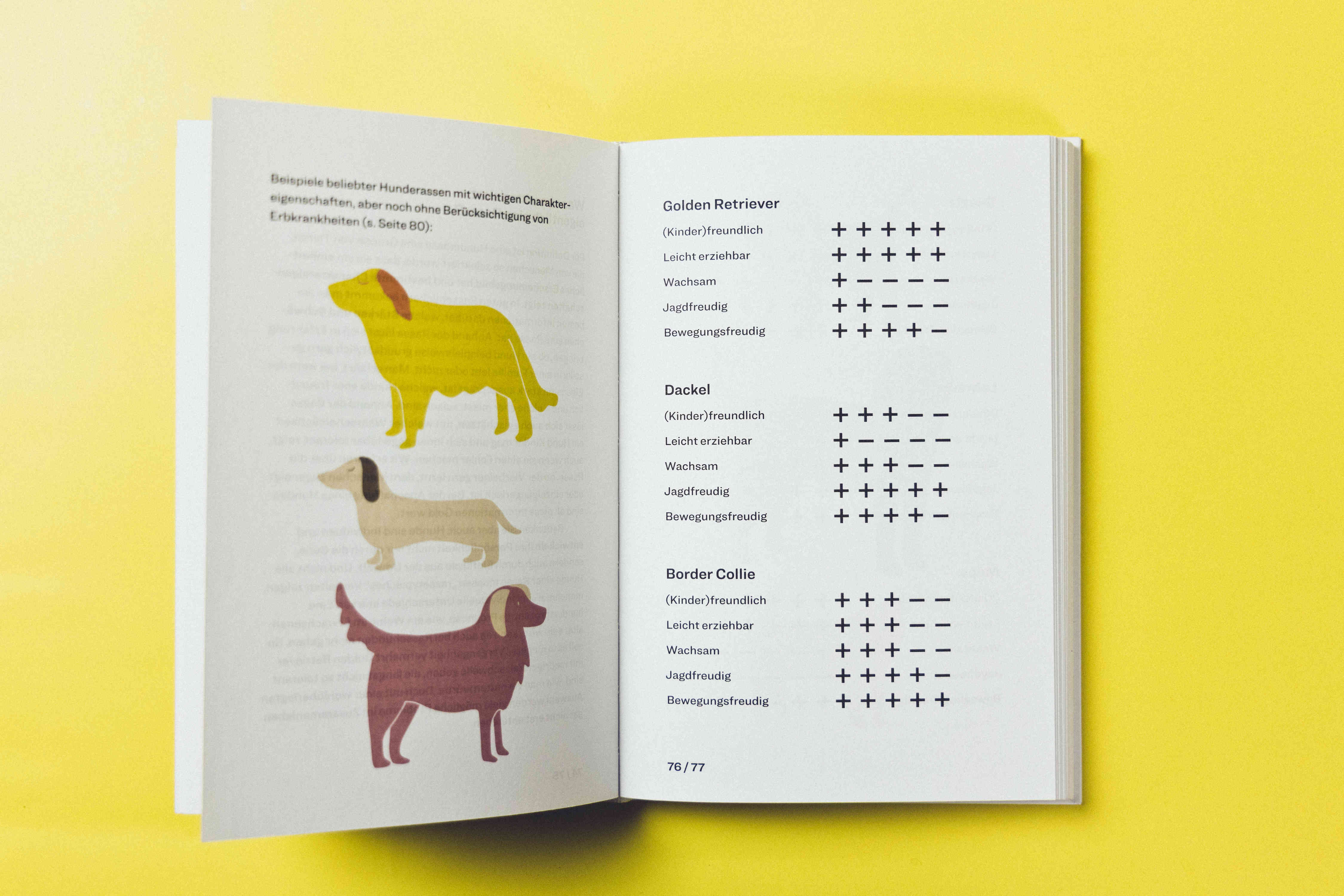 How to Hund, Tanja Warter, Zeughaus Design