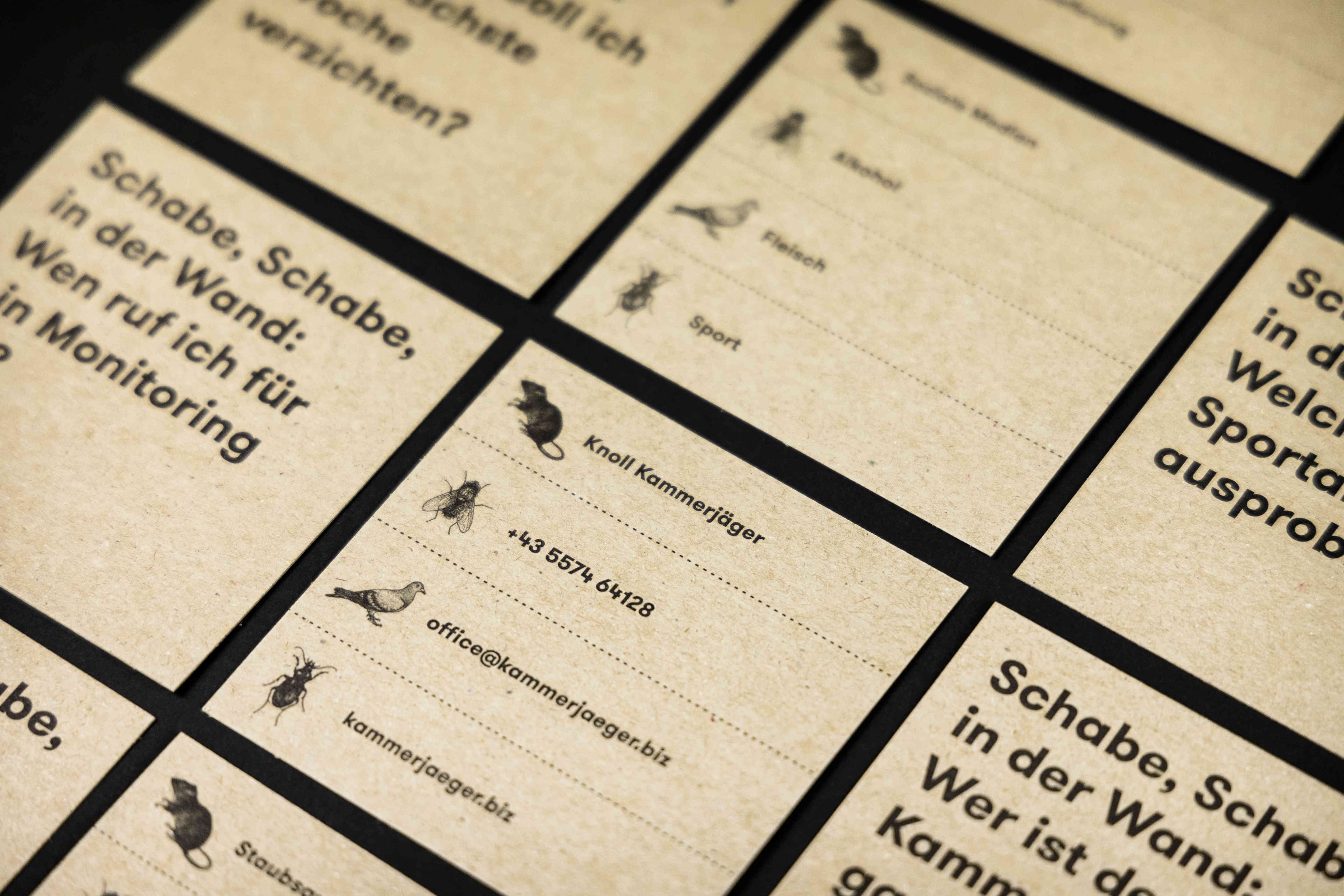 Knolls Kakerlakenorakel, Zeughaus Design