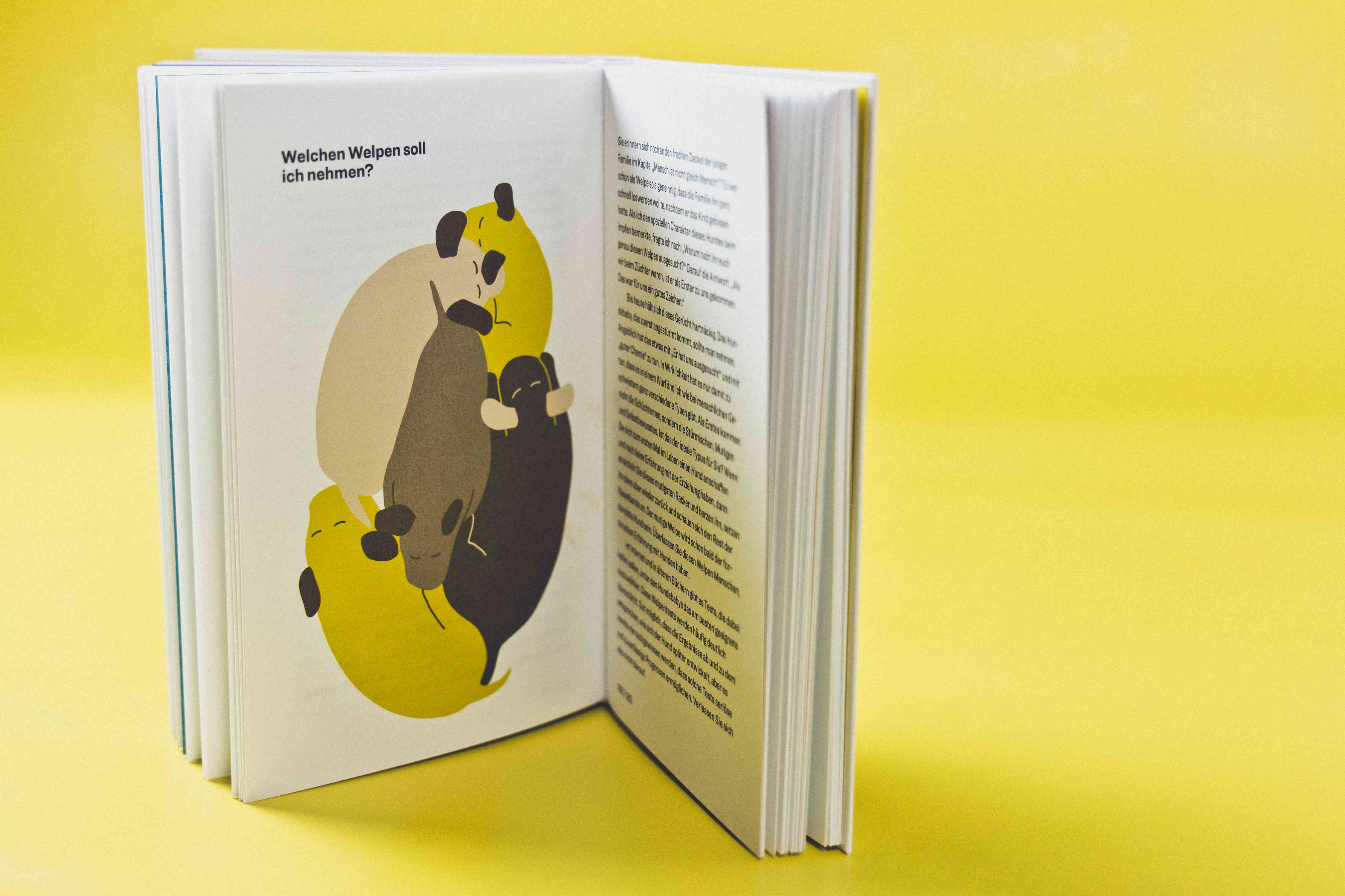 How to Hund, Tanja Warter, Zeughaus Design