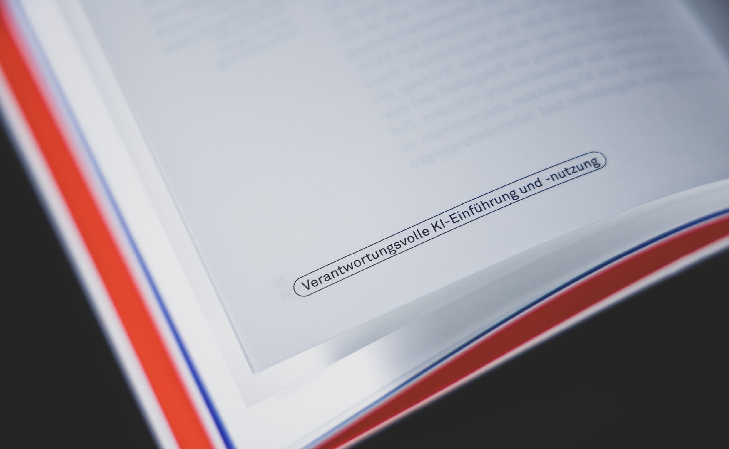 Schaffarei Forschung, Zeughaus Design 
