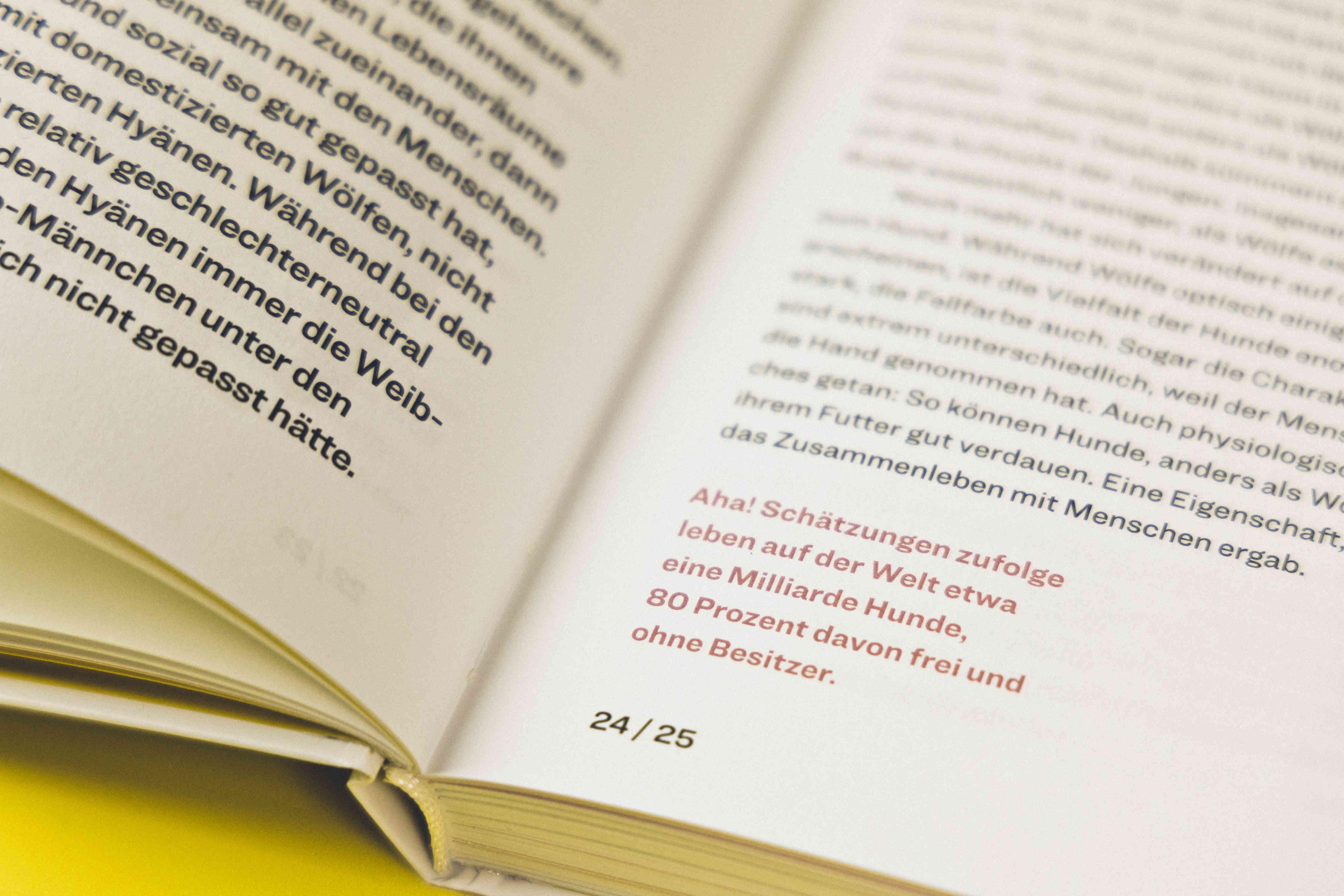 How to Hund, Tanja Warter, Zeughaus Design