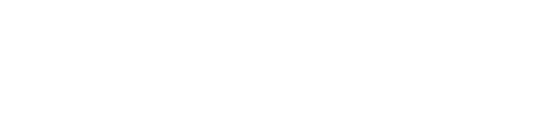 Wolfvision Logo