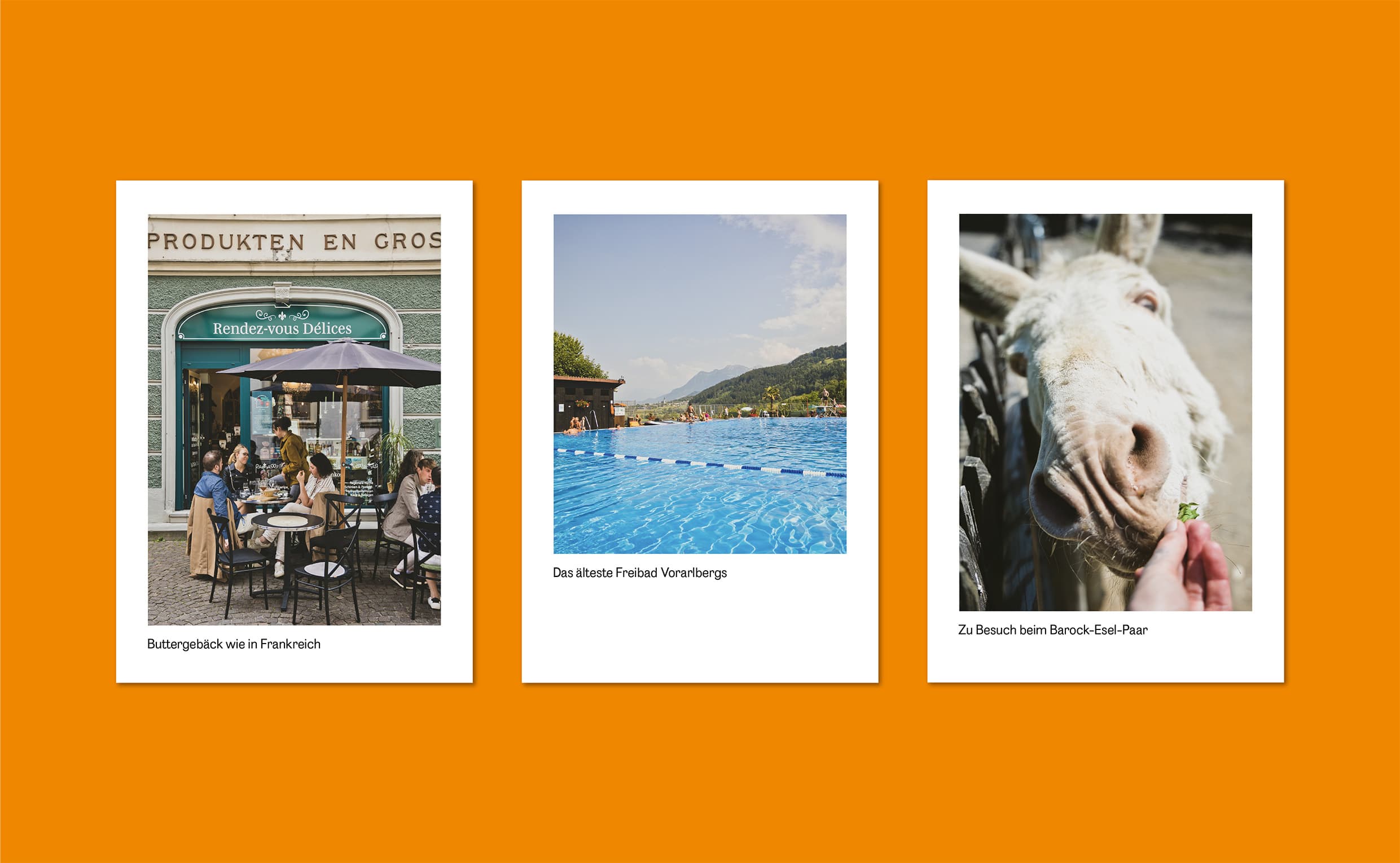 Hotel blaue rose Branding, Zeughaus Design