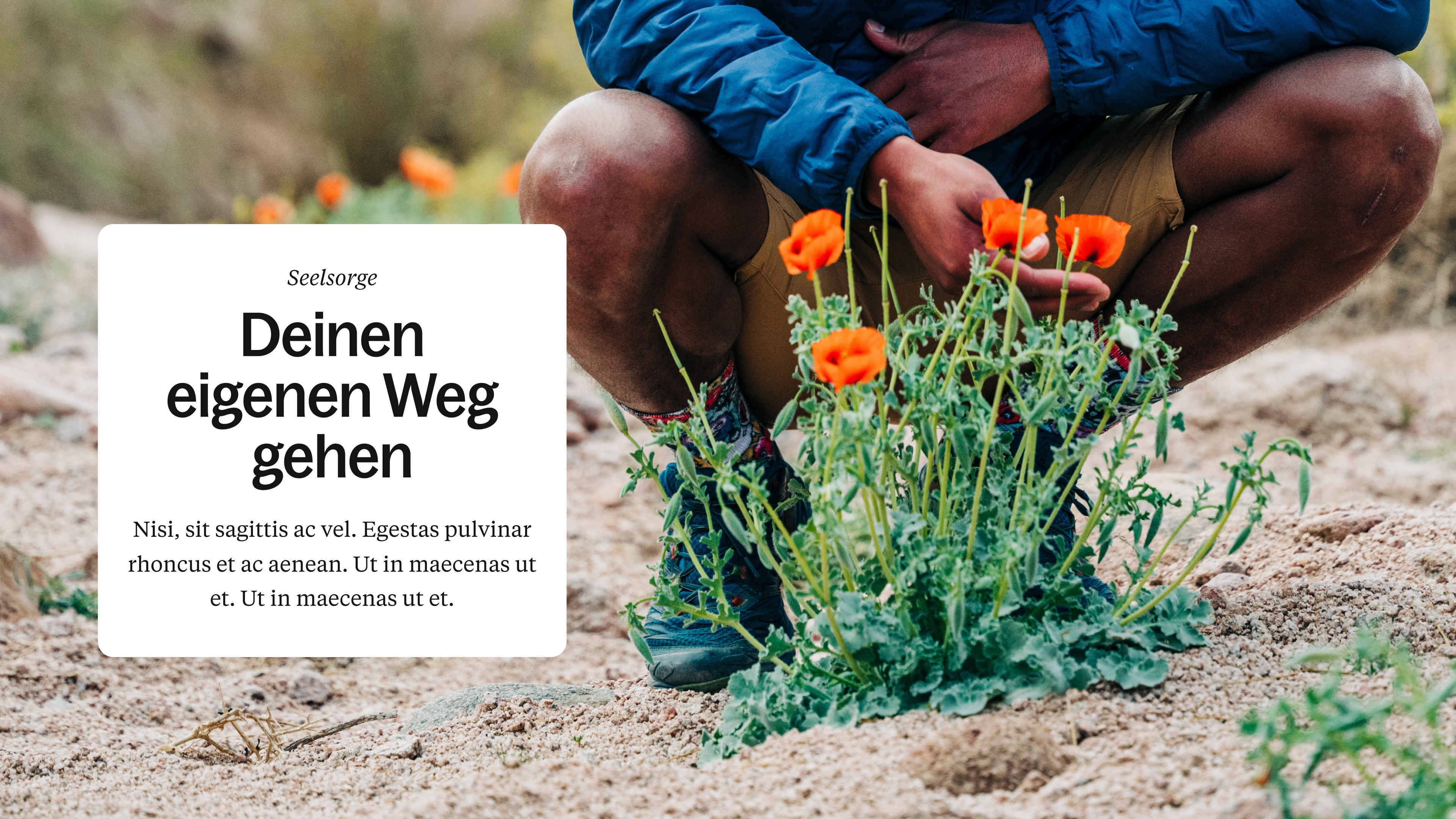 KKV Website, Zeughaus Design
