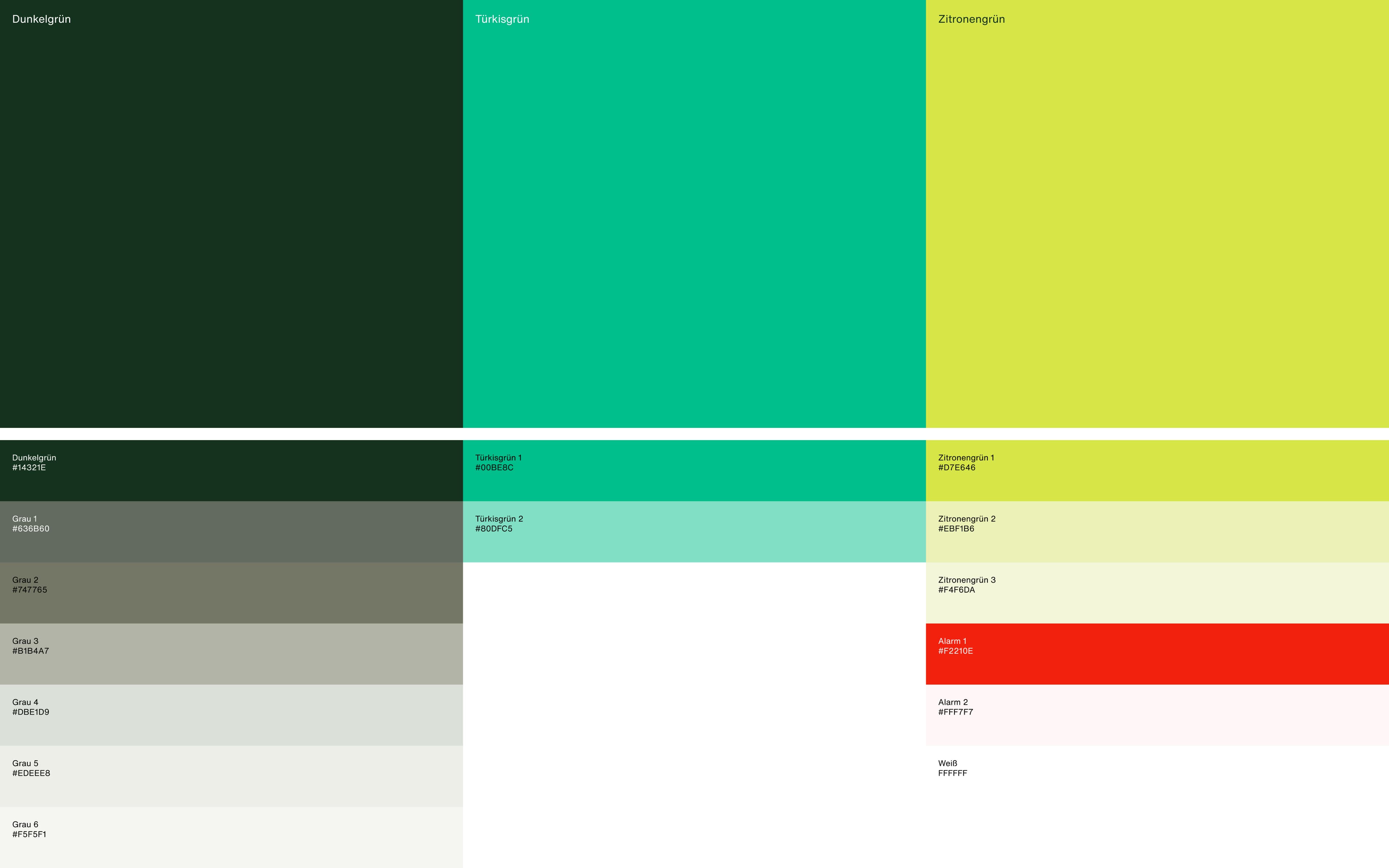 Infeo Branding Colours