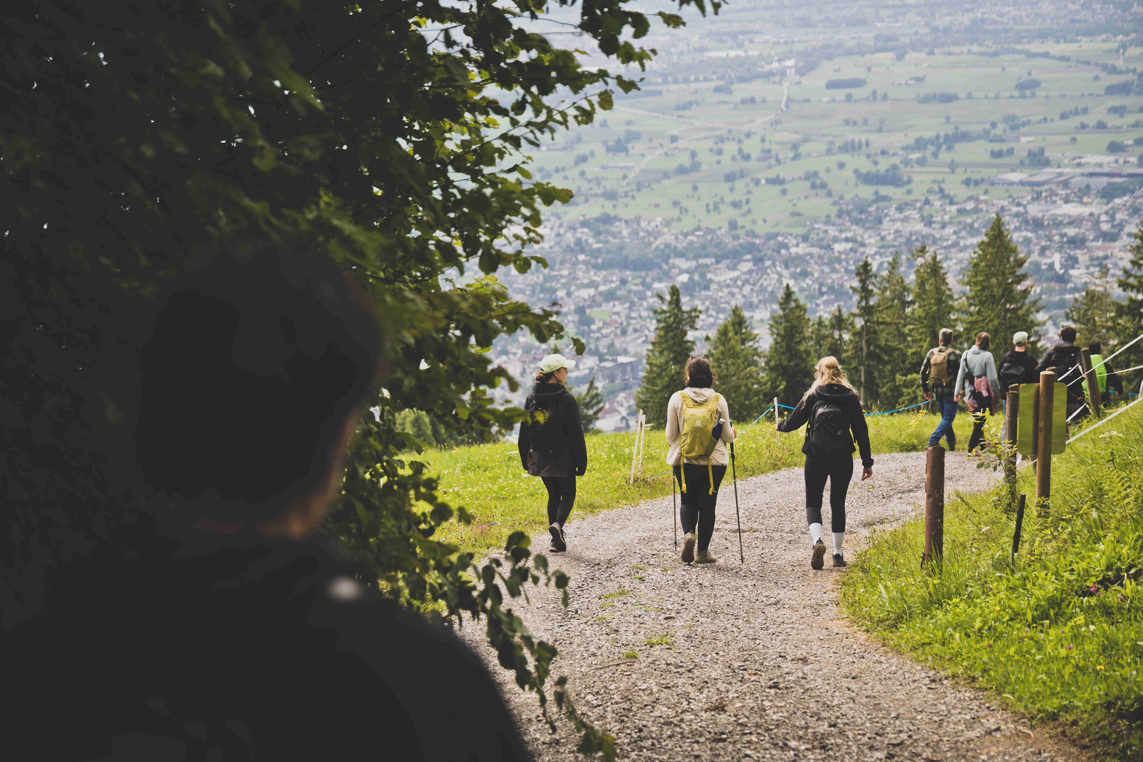 Kräuterwanderung Fohramoos, Zeughaus Design