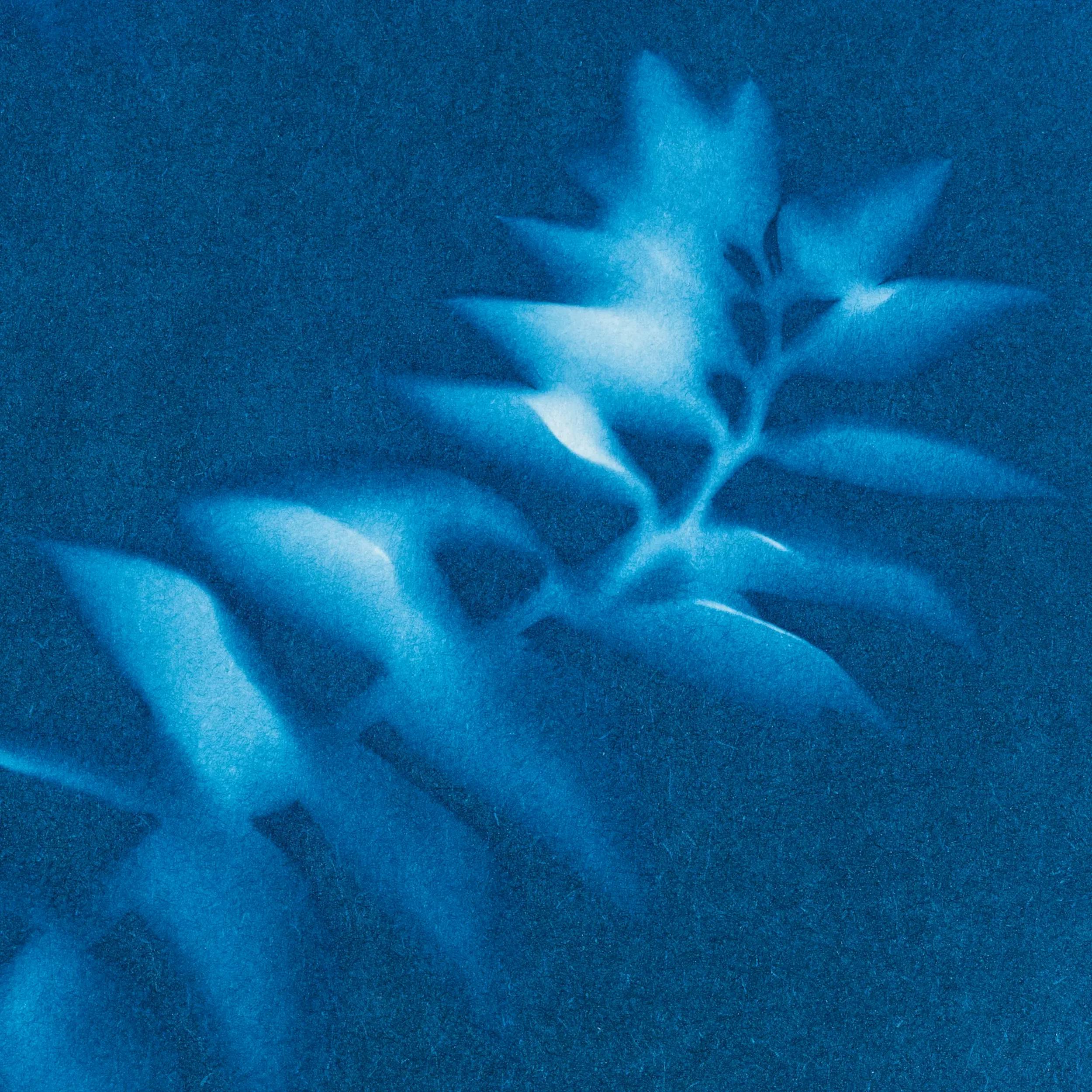 Sanlight Research: Cyanotypie Beispielbild Manufactum/AstroMedia © Manufactum/AstroMedia