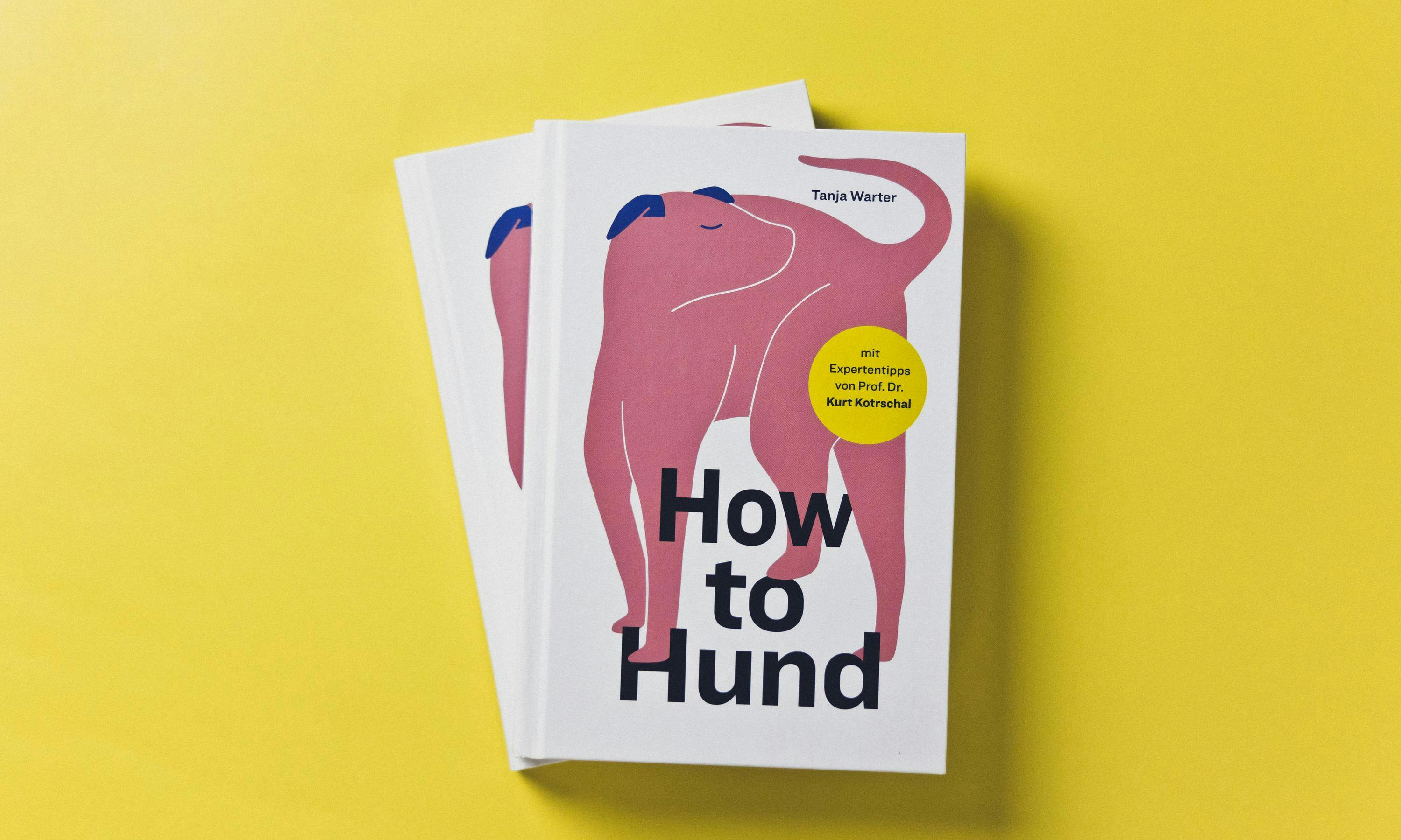 How to Hund - Tanja Warter - Cover © Patricia Keckeis
